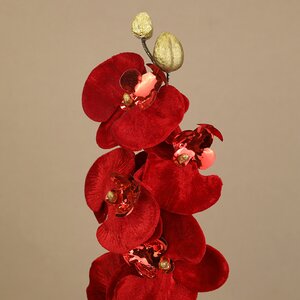 Искусственная орхидея Royal Ruby 67 см Kaemingk фото 2