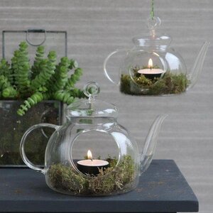Декоративный флорариум Чайник The Lumiere 14 см, стекло Ideas4Seasons фото 3