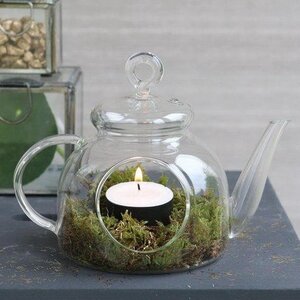 Декоративный флорариум Чайник The Lumiere 14 см, стекло Ideas4Seasons фото 1
