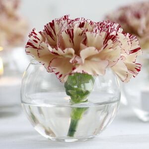 Стеклянная ваза Терамира 10 см Ideas4Seasons (Идеас Фор Сезонс) фото 3