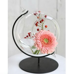 Декоративная ваза-флорариум Globo Sphere 21 см, стекло Ideas4Seasons фото 1
