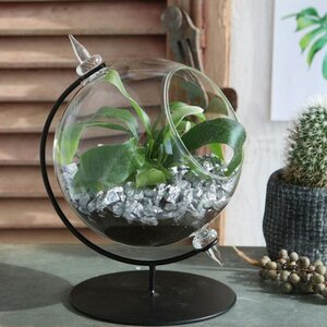 Декоративная ваза-флорариум Globo Sphere 21 см, стекло Ideas4Seasons фото 3