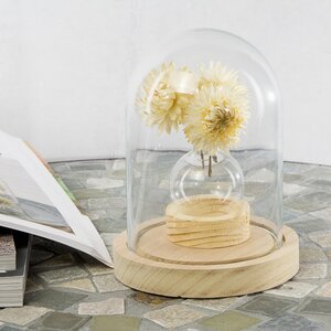 Декоративная ваза Siogardo 5 см на деревянной подставке, стекло Ideas4Seasons фото 2
