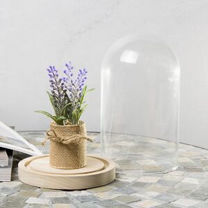 Стеклянный клош для декора Joysan 21 см Ideas4Seasons фото 3