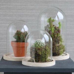 Стеклянный клош для декора Joysan 21 см Ideas4Seasons фото 6