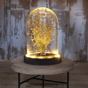 Стеклянный клош для декора Menuette с подсветкой 17 см, на батарейках Ideas4Seasons фото 5