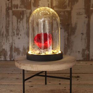 Стеклянный клош для декора Menuette с подсветкой 17 см, на батарейках Ideas4Seasons фото 4