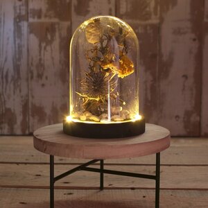 Стеклянный клош для декора Menuette с подсветкой 17 см, на батарейках Ideas4Seasons фото 6