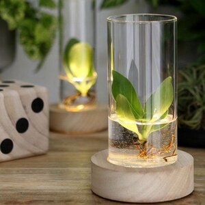 Стеклянная ваза с подсветкой Lokrum 18 см, на батарейках Ideas4Seasons фото 1