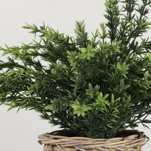 Искусственный эвкалипт в горшке Fearo 26 см Koopman фото 2