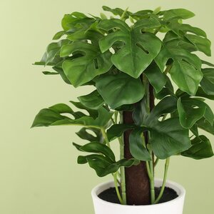 Искусственное растение в горшке Monstera 25 см Koopman фото 2