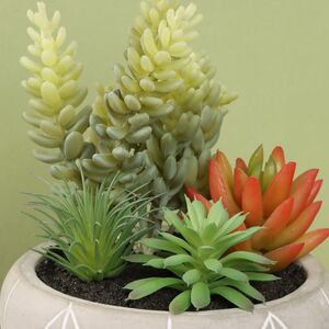 Искусственное растение в кашпо Succulent: Refule 14 см Koopman фото 2
