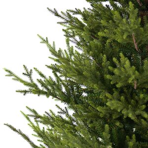 Искусственная елка Sami Mountain 228 см, ЛИТАЯ + ПВХ, с деревянной подставкой Nordic Collection (Нордик Коллекшн) фото 2
