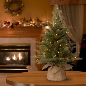 Настольная елка с лампочками Нордик в мешочке 61 см, 35 теплых белых ламп на батарейках, ЛИТАЯ + ПВХ National Tree Company фото 1