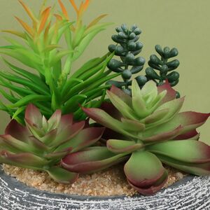 Искусственное растение в кашпо Succulent: Pacificazio 17 см Koopman фото 2