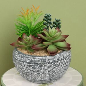 Искусственное растение в кашпо Succulent: Pacificazio 17 см Koopman фото 1