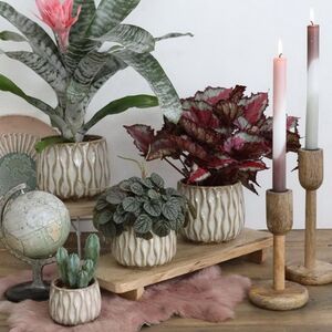 Керамическое кашпо Нуэва 15 см белое Ideas4Seasons фото 3