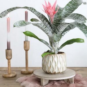 Керамическое кашпо Нуэва 15 см белое Ideas4Seasons фото 4