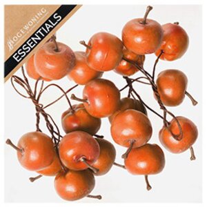 Декоративные яблоки Оранжевые на проволоке 20 шт Hogewoning фото 1