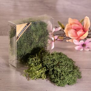 Декоративный мох зеленый, 50 г Hogewoning фото 1