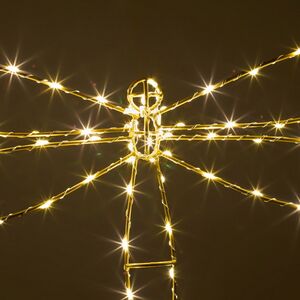 Плоское светодиодное украшение Стрекоза 50 см, 70 теплых белых LED ламп, IP44 Winter Deco фото 5