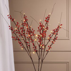 Набор светодиодных веточек Whitney с ягодками 100 см, 16 теплых белых LED ламп, IP44, 3 шт Winter Deco фото 5