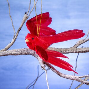 Елочная игрушка Райская Птица 15 см, подвеска ShiShi фото 1