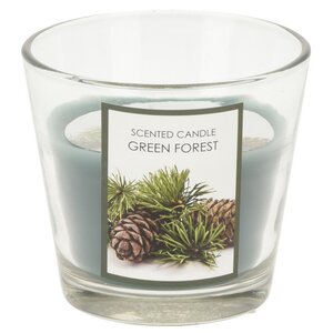 Ароматическая свеча Green Forest 8 см, в стеклянном стакане Koopman фото 1