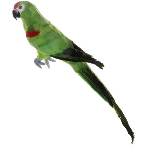 Декоративная фигура Королевский Попугай Арно 45 см ShiShi фото 1