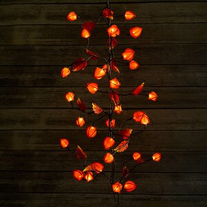 Гирлянда Физалис Оранжевый, 180 см, 32 теплые белые LED лампы Kaemingk фото 3