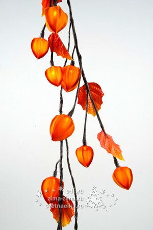 Гирлянда "Физалис Оранжевый", 180 см, 32 теплые белые LED лампы, уцененный Kaemingk фото 1