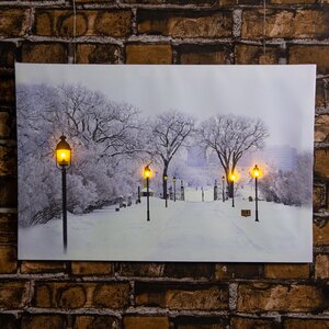 Светодиодная картина Зимняя Аллея 60*40 см с оптоволоконной и LED подсветкой, на батарейках