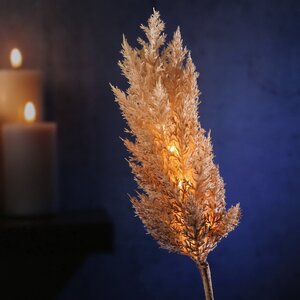 Светящаяся ветка для декора Pampas Caramel 70 см, теплые белые LED, на батарейках Kaemingk фото 1