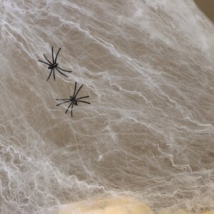 Тянущаяся Паутина на Хэллоуин + 2 паука Koopman фото 8