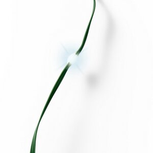 Светодиодная гирлянда Роса Micro Flex 27 м, 360 холодных белых LED, зеленая проволока, контроллер, IP44 Kaemingk фото 6