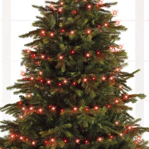 Светодиодная гирлянда нить Объемная 80 красных LED ламп 6 м, черный ПВХ, контроллер, IP44 Kaemingk фото 3