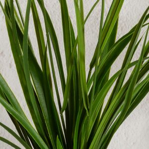 Искусственный цветок в горшке Таллинум 51 см белый Summer Deco фото 9