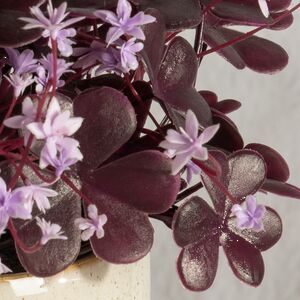 Искусственный цветок в горшке Оксалис 22 см Summer Deco фото 6