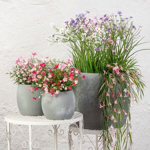 Искусственный цветок в горшке Таллинум 51 см белый Summer Deco фото 8