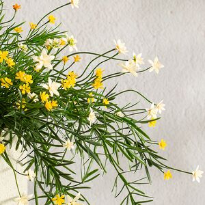 Подвесной искусственный цветок Мидлтон Стоун 43 см, желтый Summer Deco фото 5