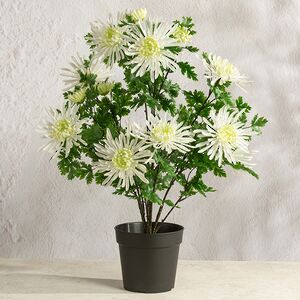 Искусственный цветок в горшке Хризантема Meltina 60 см Summer Deco фото 4