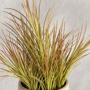 Искусственное растение в горшке Акорус - Braunton 26 см Summer Deco фото 2