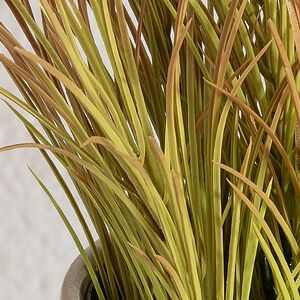 Искусственное растение в горшке Акорус - Braunton 26 см Summer Deco фото 6