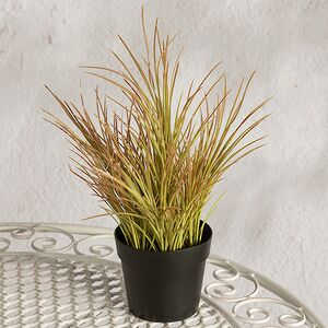 Искусственное растение в горшке Акорус - Braunton 26 см Summer Deco фото 4