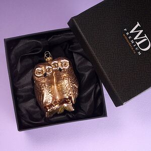 Елочная игрушка Полярные Совы на ветке 10 см в подарочной коробке, стекло Winter Deco фото 3