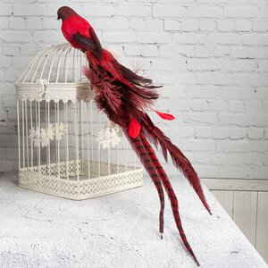 Декоративное украшение Птица Кармин 70 см, клипса ShiShi фото 1