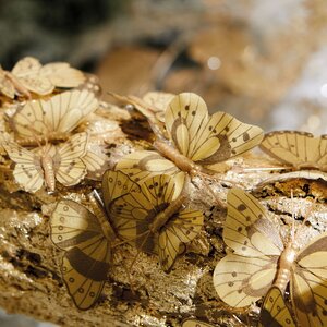 Набор декоративных украшений Gold Butterfly, 10 шт, клипса Kaemingk фото 2