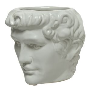 Декоративное кашпо Голова Давида 18*16 см Kaemingk фото 7