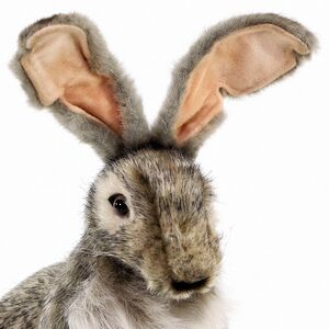 Мягкая игрушка Заяц 30 см Hansa Creation фото 4