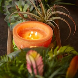 Ароматическая свеча Galliano - Orangina 15 см, 40 часов горения EDG фото 2